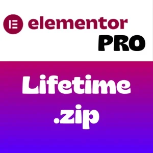 Elementor Pro Plans: Find The Right Plan For You